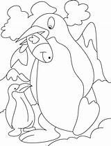 Coloring Penguin Cartoon Pages Popular sketch template