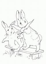 Peter Rabbit Coloring Pages Movie Trailers sketch template