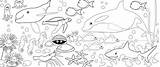 Mewarnai Laut Hewan Binatang Sketsa Paud Terbaru Yang Mudah Gambarcoloring Seruu Peliharaan sketch template