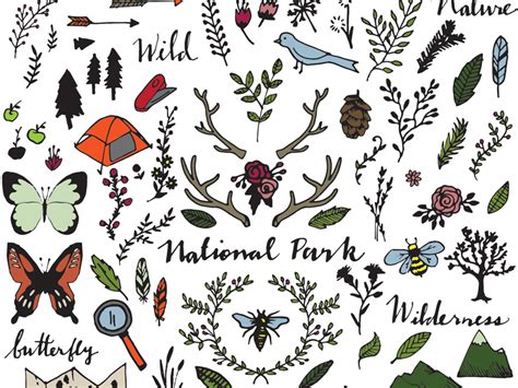 national park drawings clipart  alexis rawlins  dribbble