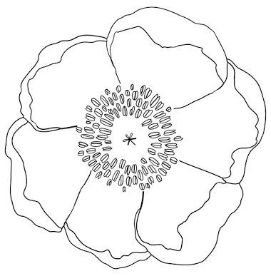 image result  anzac poppy template poppy drawing flower drawing