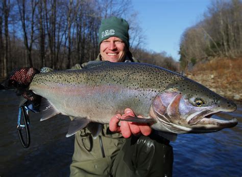 steelhead alley outfitters lake erie fly fishing guide service