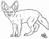 Lineart Canis Fennec Simensis sketch template