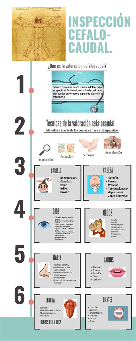 valoracion cefalocaudal esquemas  mapas conceptuales de enfermeria