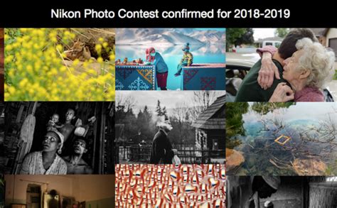 nikon photo contest   daily camera news