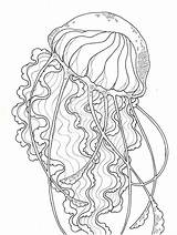 Jellyfish Coloriage Meduse Adults Jelly Méduse Imprimer Coloriages Medusa Primaire Mandala Mandalas Ausmalvorlagen Ausmalbilder Letscolorit sketch template