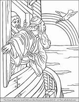 Branch Ark Catholic Thecatholickid Noahs sketch template