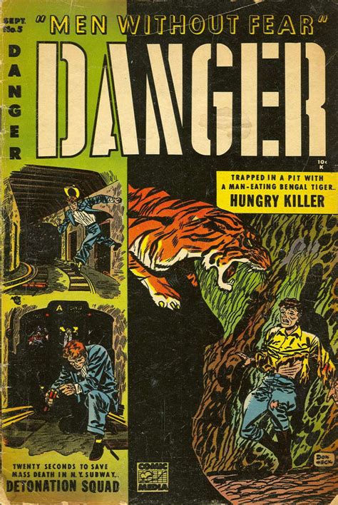 danger  version  comic media comic book