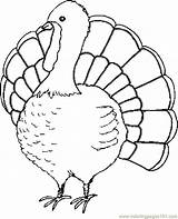 Turkey Coloring Thanksgiving Pages Color Printable Coloringpages101 Pdf sketch template