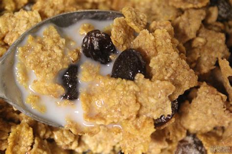 classic review post raisin bran cereal