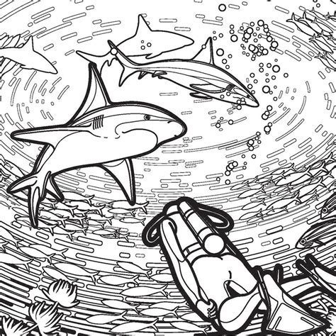 sharks  diver coloring page  printable coloring pages  kids