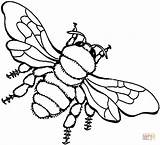 Bee Coloring Pages Honey Drawing Bees Printable Supercoloring Color Clipart Printables Outline sketch template