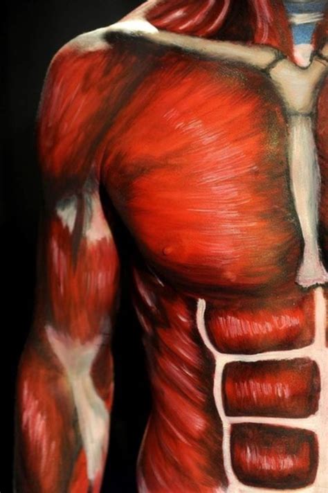 amazing realistic paintings   human anatomy  human bodies
