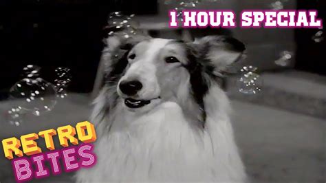 lassie  hour special full episodes youtube
