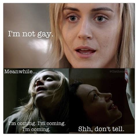 96 best images about lesbian meme on pinterest funny