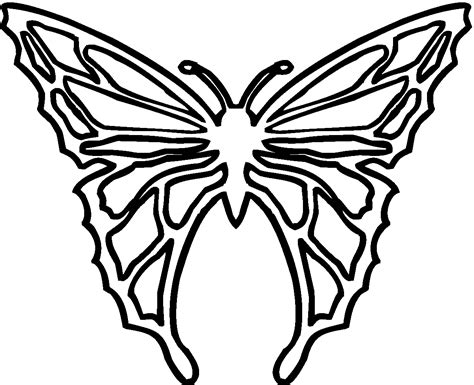 butterfly wings pattern clipart