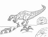 Baryonyx Coloring Spinosaur Robin Pages Great sketch template