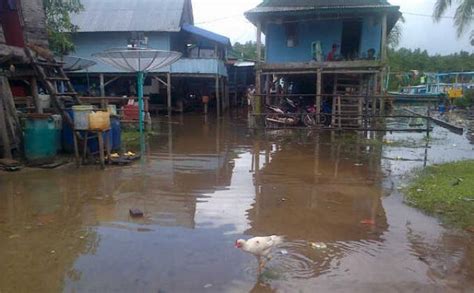ini penyebab bencana banjir di bangka belitung versi walhi