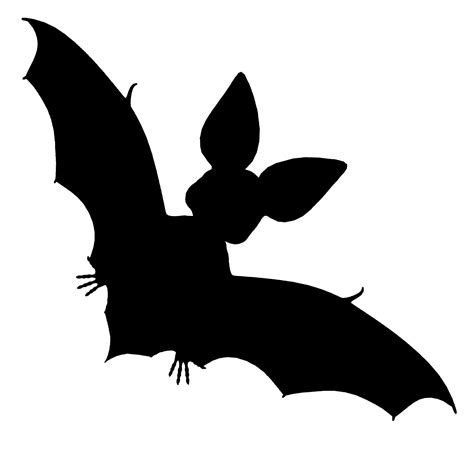 black bat  stock photo public domain pictures