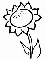 Sunflower Coloring Pages Preschoolers Simple Sunflowers Line Easy Cliparts Rocks Library Clipart Preschool sketch template