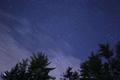 twinkling stars  night  nature stock