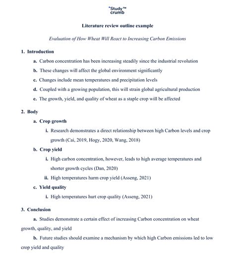 literature review outline writing approaches  examples