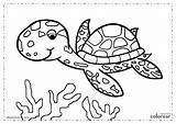 Tortugas Tortuga Tartarugas Tartaruga sketch template