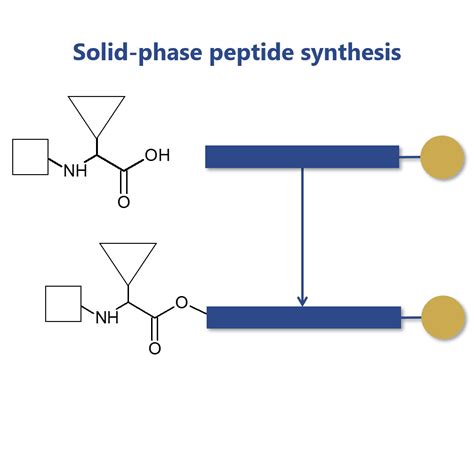 solid phase peptide synthesis   discovery  therapeutic peptides