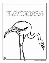 Flamingos Coloring sketch template