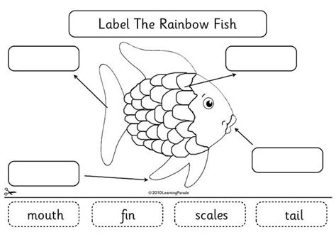 parts   fish diagram  kids yahoo image search results rainbow