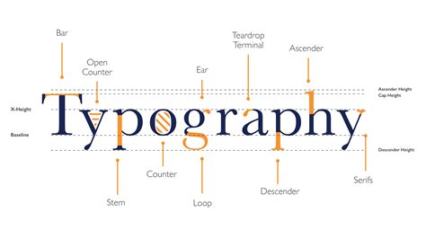 anatomy  typography anatomy  typography type anat vrogueco