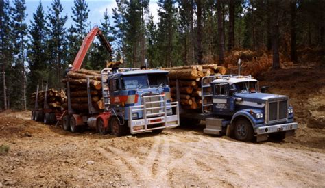 logging trucks hawkes bay knowledge bank