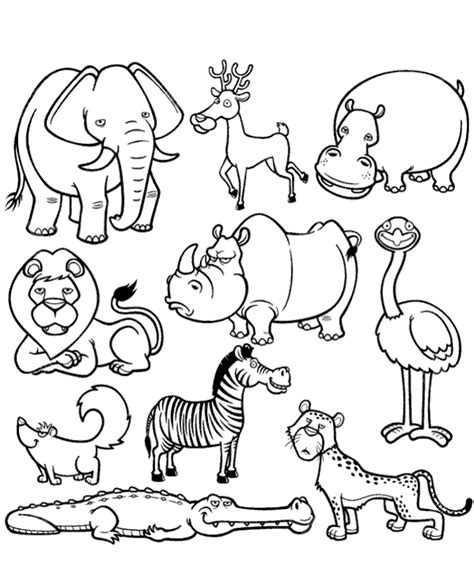african animals coloring page  kids