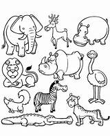 Animals Coloring Pages African Color Wild Animal Zoo Colouring Printable Kids Drawing Savage Template Print Elephant Drawings Boys sketch template