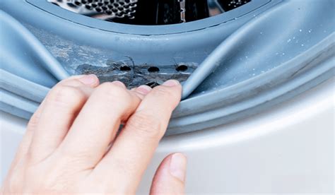clean  front load washer maughanster appliance repair