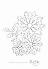 Coloring Gerbera Flower Book Adult Printable 474px 74kb sketch template