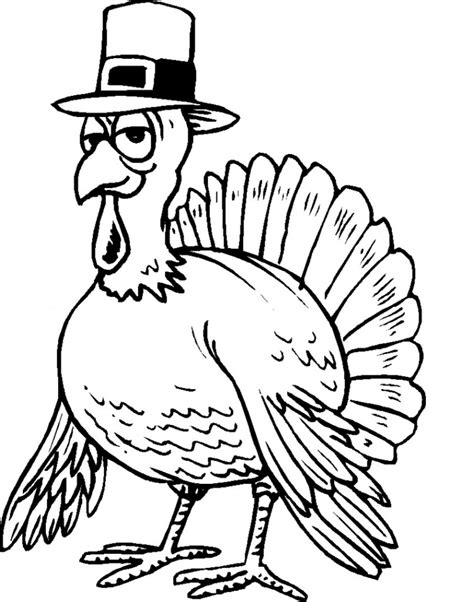 coloring page turkey  animal place