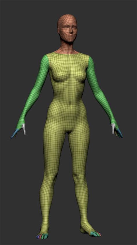 Female Base Mesh V2 3d Model Obj Ztl