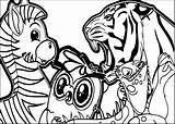 Lion Coloring Zebra Abc Animal Wecoloringpage sketch template