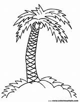 Palm Tree Coloring Pages Trees Coconut Branch Drawing Printable Line Print Simple Clipart Draw Jungle Leaves Color Drawings Sheet Branches sketch template