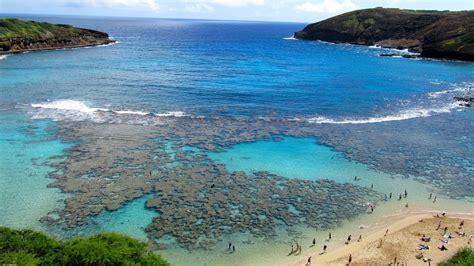 snorkeling  hanauma bay hawaii