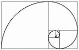 Goldene Schnitt Spirale Berechnung Fibonacci Goldenen Anwendung Beispiele sketch template