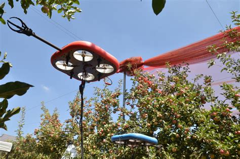 la empresa fabricante de drones recolectores de fruta se va  arriba