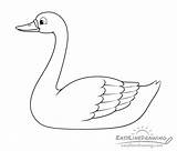 Swan Easylinedrawing Finish sketch template
