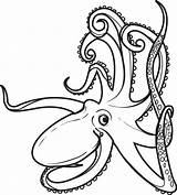 Coloring Octopus Pages Squid Color Printable Colouring Kids Drawing Realistic Mandala Outline Print Clipart Sheets Animal Ocean Rabbit Oswald Lucky sketch template