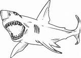 Shark Jaws sketch template