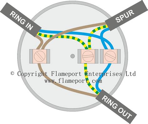 circuit  terminal lamp socket wiring diagram cadicians blog