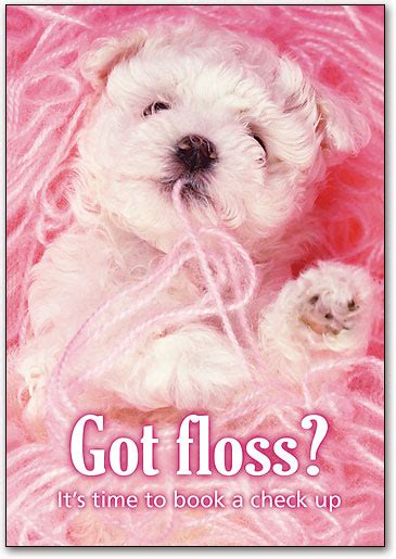puppy  floss postcard smartpractice dental