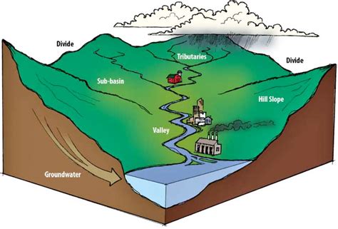 watershed aquetong watershed association