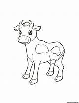 Calf Coloring Pages Animal Cute Farm Printable Cow Colouring Baby Animals Print Color Realistic Cows Book Kids Visit Info sketch template